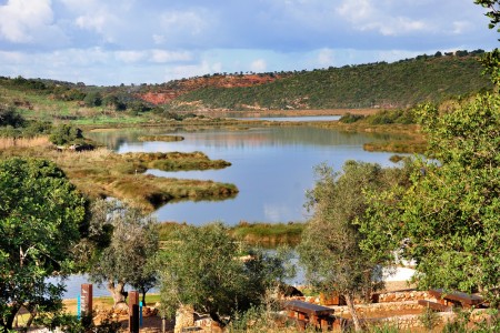 Fotografia do rio Arade